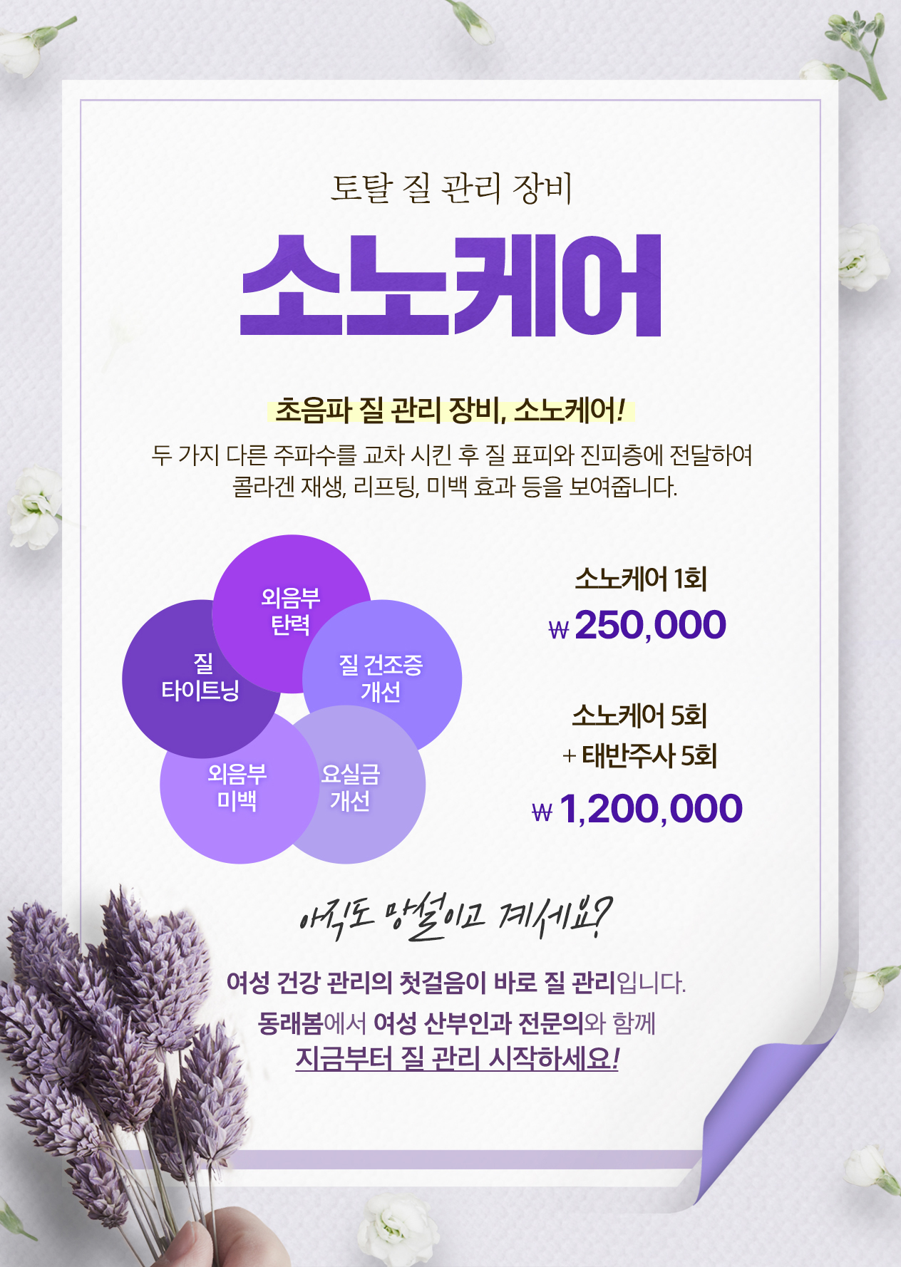 팝업이미지